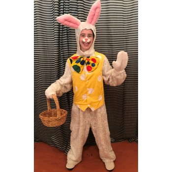 Easter Bunny #19 ADULT HIRE